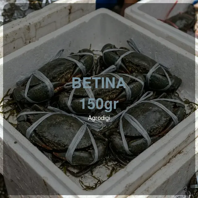 Kepiting Bakau Betina 150gr