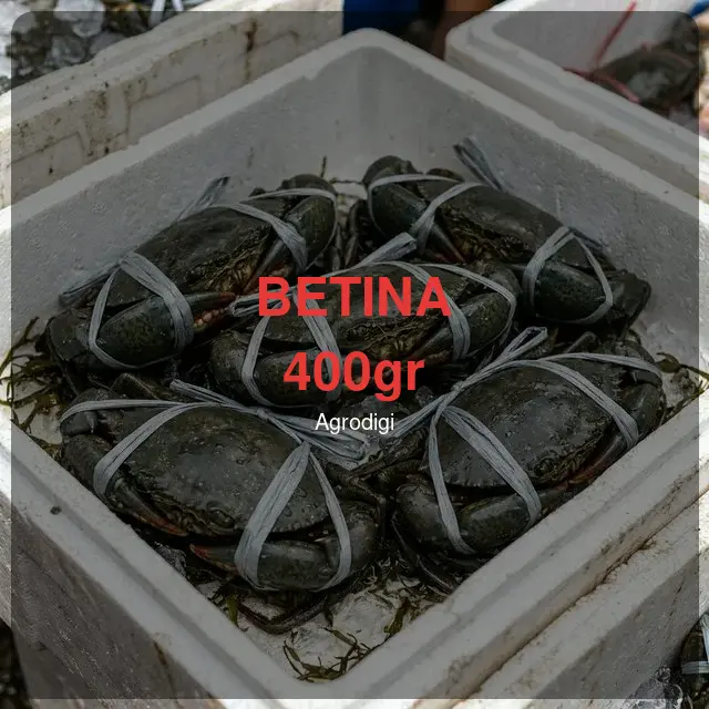 Kepiting Bakau Betina 400gr