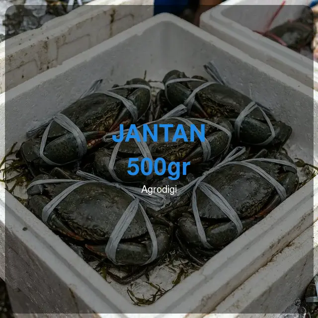 Kepiting Bakau Jantan 500gr